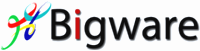 Bigware logo