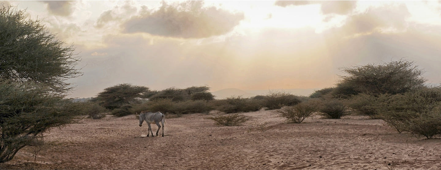 Djibouti